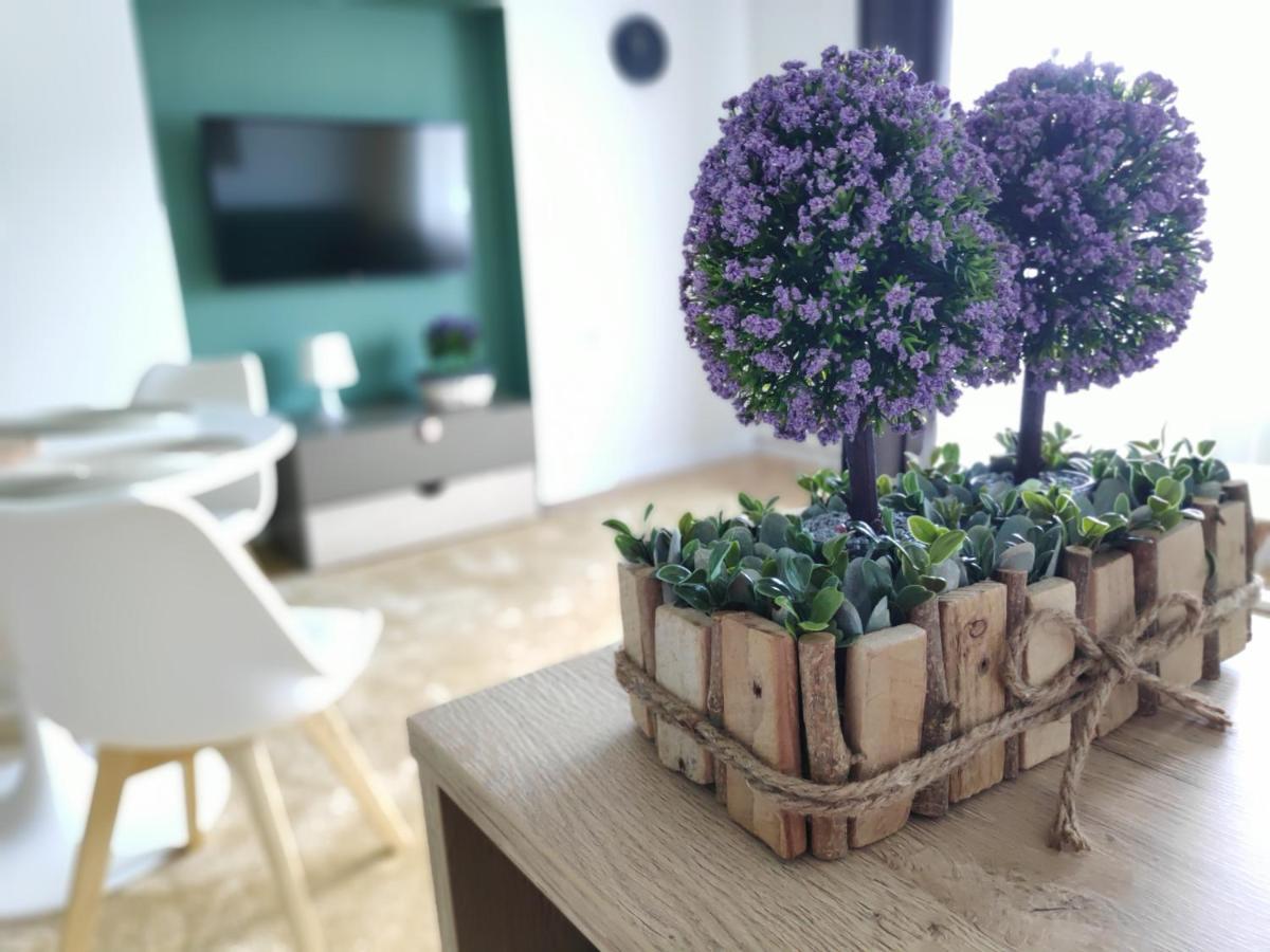 Apartament Karpaty Krynica Zdroj Buitenkant foto